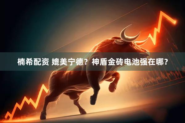 楠希配资 媲美宁德？神盾金砖电池强在哪？