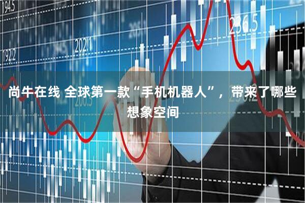 尚牛在线 全球第一款“手机机器人”，带来了哪些想象空间