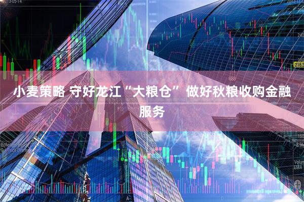小麦策略 守好龙江“大粮仓” 做好秋粮收购金融服务